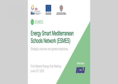 ESMES Strategy