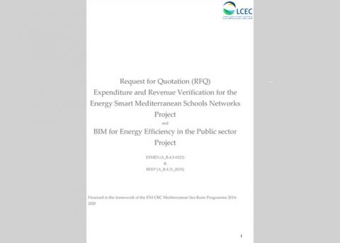 Financial Auditor BEEP ESMES