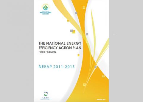 NEEAP 2011 2015