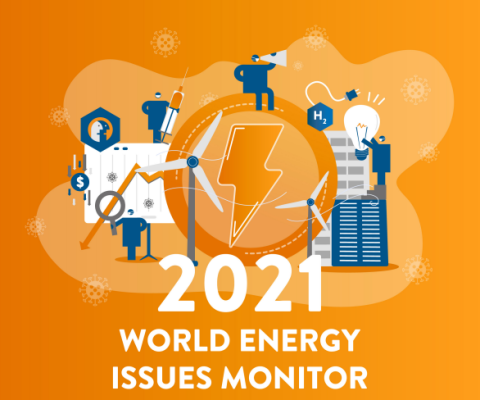 Issues Monitor Survey