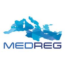 MEDREG Logo
